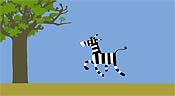 Zebra Pictures In Cartoon