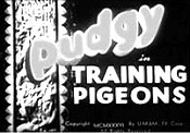 Training Pigeons Cartoon Character Picture