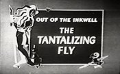The Tantalizing Fly Pictures Cartoons