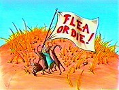 Flea Or Die! Cartoon Pictures