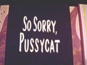 So Sorry, Pussycat Pictures In Cartoon