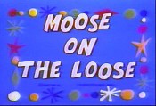 Moose On The Loose Pictures In Cartoon