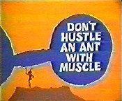 Don't Hustle An Ant With Muscle Cartoons Picture
