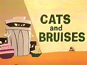 Cats And Bruises Cartoon Pictures