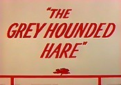 The Grey Hounded Hare Cartoon Pictures