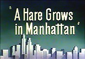 A Hare Grows In Manhattan Cartoon Picture