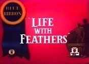 Life With Feathers Cartoon Pictures