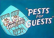 Pests For Guests Pictures Of Cartoons