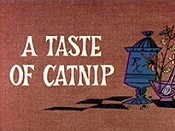 A Taste Of Catnip Cartoon Pictures